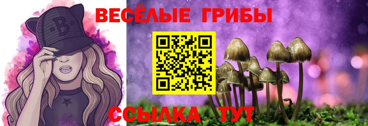 купить закладку  Вход с VPN  Псилоцибиновые грибы ЛСД  Алатырь  Псилоцибиновые грибы Psilocybine cubensis 